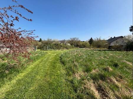 Grundstück in 66578 Schiffweiler mit 5961m² kaufen