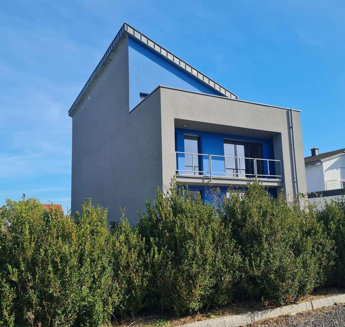 Frontansicht - Einfamilienhaus in 66740 Saarlouis mit 365m² günstig kaufen