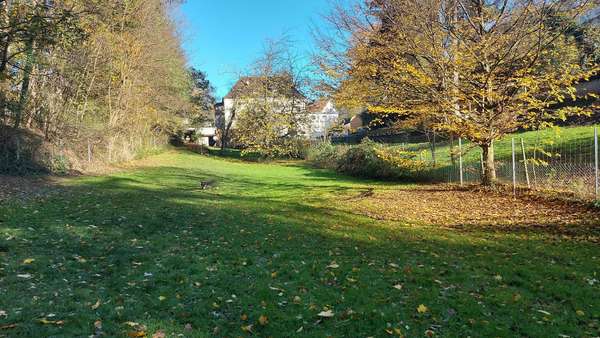 Garten - Zweifamilienhaus in 66132 Saarbrücken mit 160m² kaufen