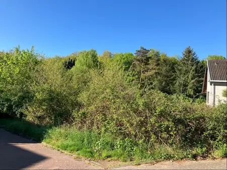 Attraktives Wohnbaugrundstück in Homburg, Stadtteil Schwarzenbach