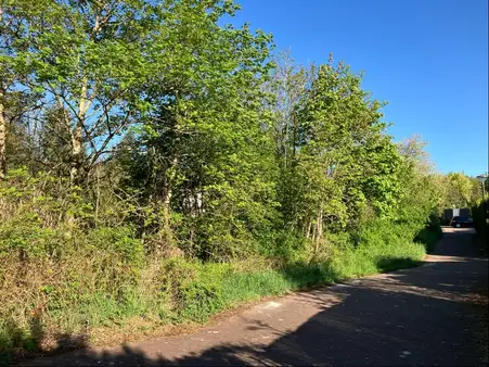 Attraktives Wohnbaugrundstück in Homburg, Stadtteil Schwarzenbach