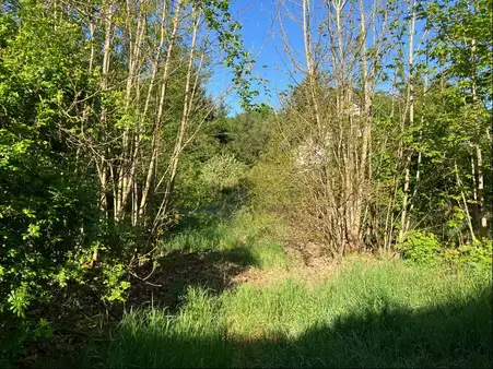 Attraktives Wohnbaugrundstück in Homburg, Stadtteil Schwarzenbach