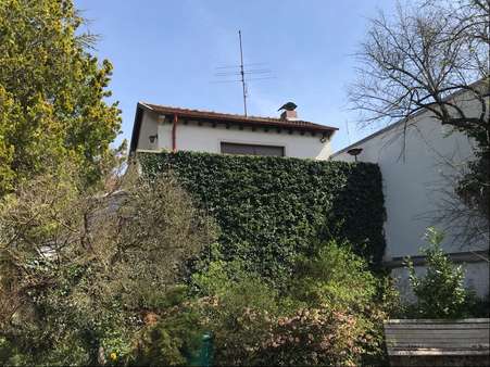 Rückansicht Rückansicht - Grundstück in 66424 Homburg mit 1769m² kaufen