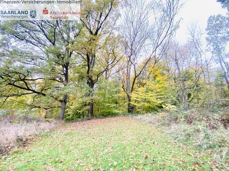 … für Naturliebhaber … für Naturliebhaber - Grundstück in 66440 Blieskastel mit 4112m² kaufen