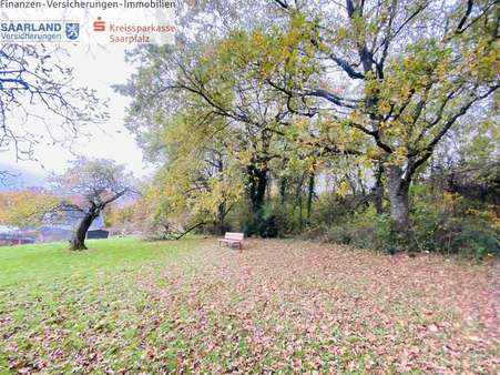 Ruheoase Ruheoase - Grundstück in 66440 Blieskastel mit 4112m² kaufen