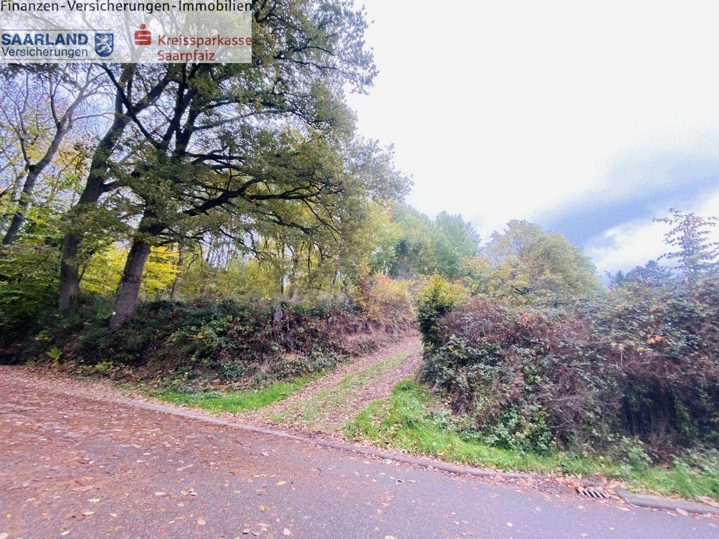 Waldrandlage! Waldrandlage! - Grundstück in 66440 Blieskastel mit 4112m² kaufen