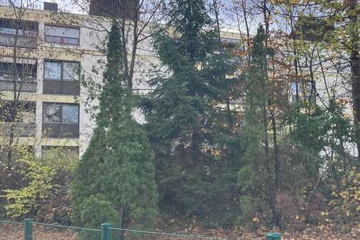 Rückansicht - Erdgeschosswohnung in 66424 Homburg mit 110m² kaufen