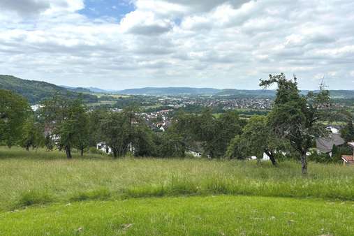 Ansicht - Grundstück in 73655 Plüderhausen mit 1184m² kaufen