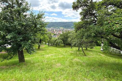 Ansicht - Grundstück in 73655 Plüderhausen mit 1184m² kaufen