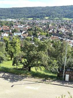 Ansicht von oben - Grundstück in 73655 Plüderhausen mit 1184m² kaufen