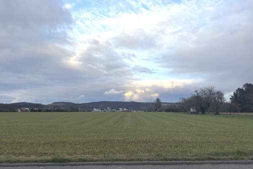 Ausblick auf die Felder - Grundstück in 73733 Esslingen mit 700m² kaufen