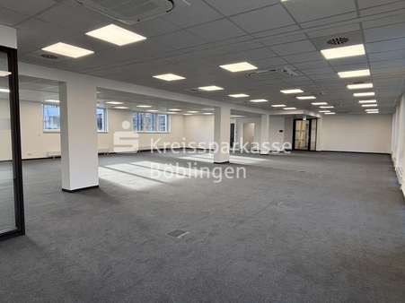 Büro Open-Space - Büro in 71034 Böblingen mit 410m² mieten