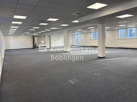 Büro Open-Space - Büro in 71034 Böblingen mit 410m² mieten