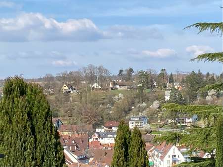 Aussicht - Grundstück in 71111 Waldenbuch mit 2317m² kaufen