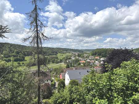 Ausblick vom Balkon - Einfamilienhaus in 71134 Aidlingen mit 404m² kaufen