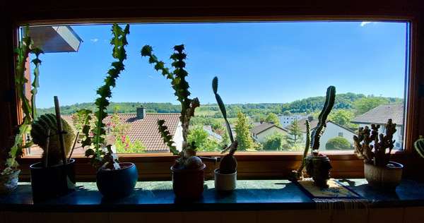 Ihr Fensterpanorama - Einfamilienhaus in 71088 Holzgerlingen mit 175m² kaufen