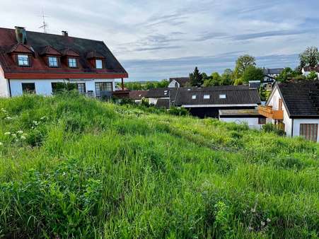 Gartenansicht Gartenansicht - Grundstück in 71277 Rutesheim mit 1080m² kaufen
