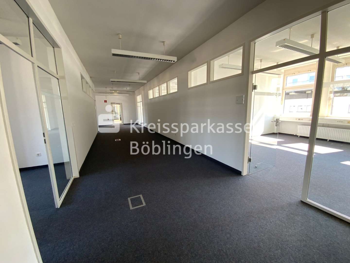 Flur - Büro in 71063 Sindelfingen mit 300m² mieten