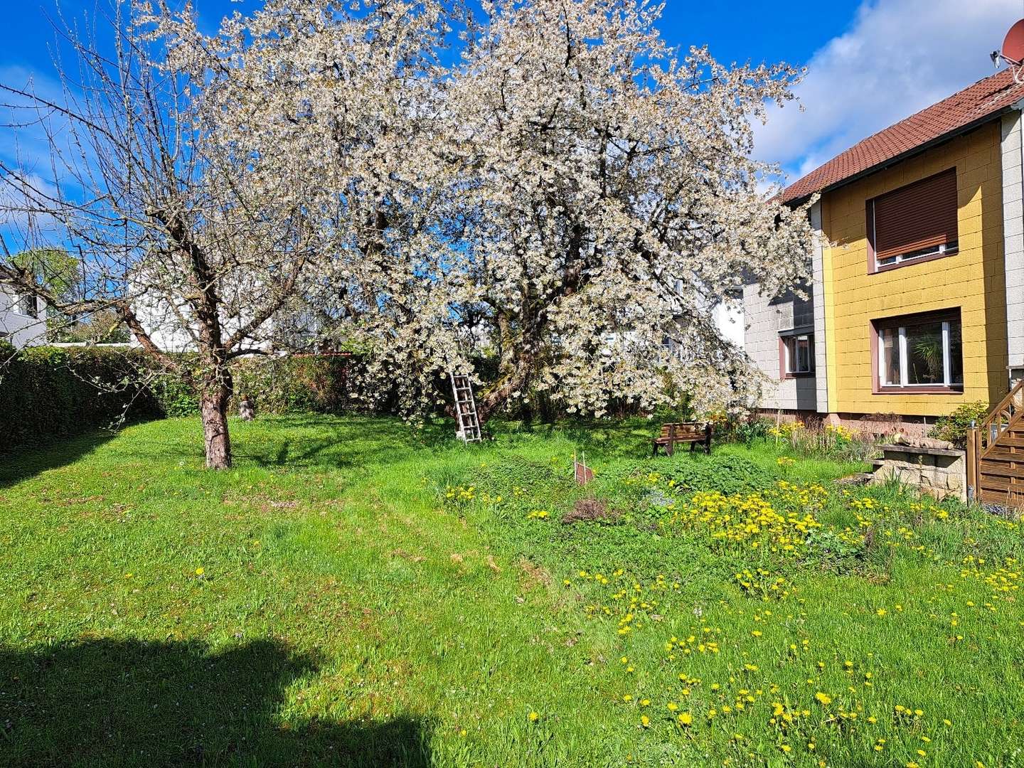 Garten im Süden - Grundstück in 71083 Herrenberg mit 395m² kaufen