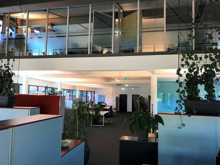 Büro-Übersicht 1. OG - Büro in 71083 Herrenberg mit 295m² günstig mieten