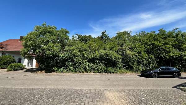 Grundstück in 71726 Benningen mit 748m² kaufen