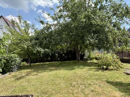 Garten Garten - Einfamilienhaus in 73326 Deggingen mit 124m² kaufen