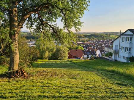 Grundstück - Grundstück in 73262 Reichenbach mit 553m² kaufen