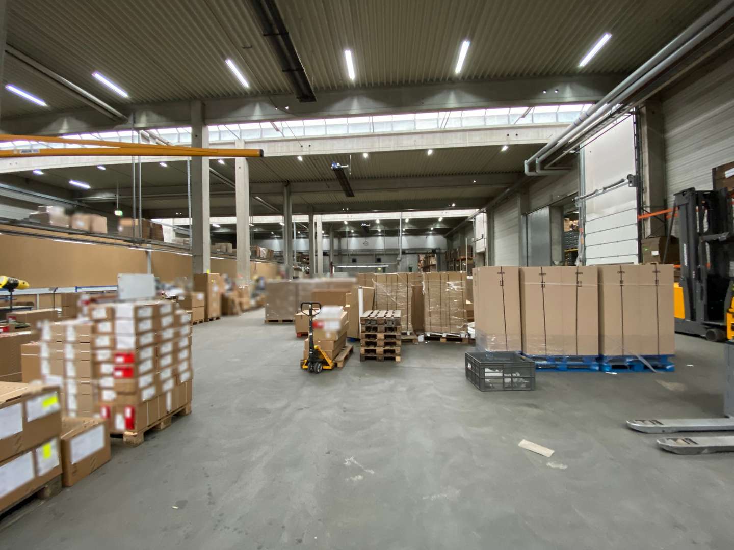 Hallenflächen - Halle in 73230 Kirchheim mit 12786m² kaufen