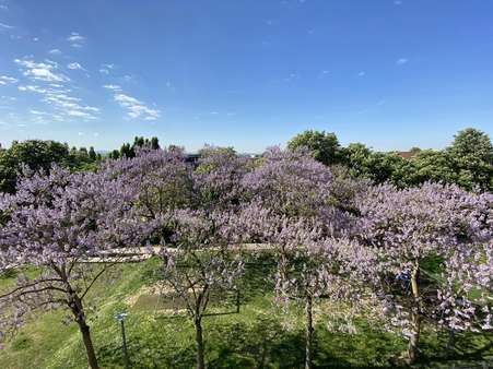 Aussicht im Frühjahr Aussicht im Frühjahr - Etagenwohnung in 73760 Ostfildern mit 80m² kaufen