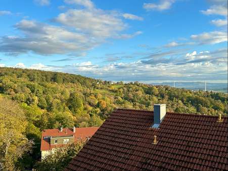 Aussicht - Erdgeschosswohnung in 73732 Esslingen mit 95m² kaufen