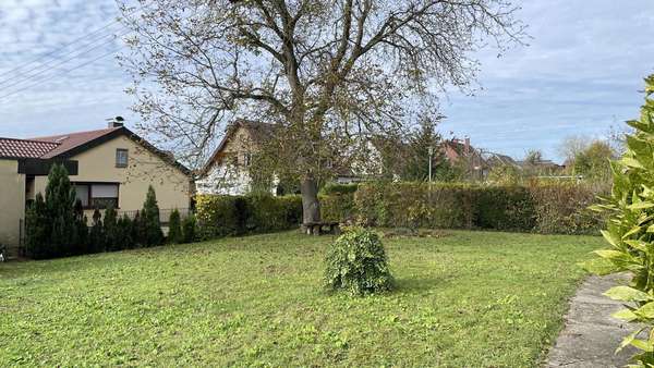 Garten - Einfamilienhaus in 73557 Mutlangen mit 126m² kaufen