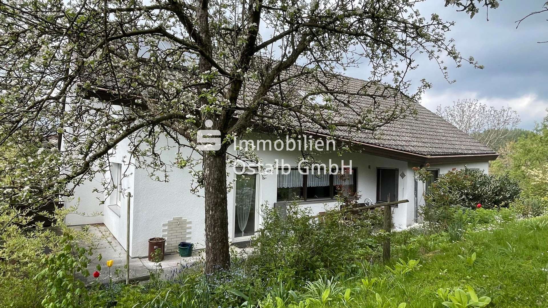 Ansicht - Einfamilienhaus in 73479 Ellwangen mit 172m² kaufen