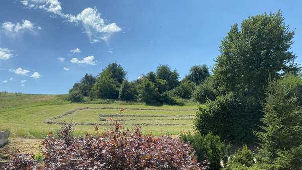 Ortsrandlage - mit Blick ins Grüne Ortsrandlage - mit Blick ins Grüne - Reihenmittelhaus in 74196 Neuenstadt mit 107m² kaufen