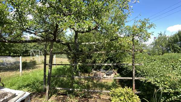 Gemütlicher Vorplatz Gemütlicher Vorplatz - Grundstück in 74189 Weinsberg mit 601m² kaufen