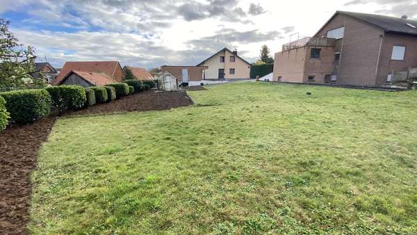 Viel Platz für Ihren Wohntraum Viel Platz für Ihren Wohntraum - Grundstück in 74336 Brackenheim mit 708m² kaufen