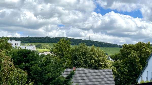 Aussicht - Einfamilienhaus in 74074 Heilbronn mit 177m² kaufen