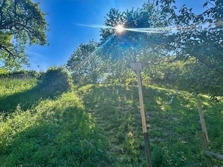 Garten Garten - Zweifamilienhaus in 74523 Schwäbisch Hall mit 248m² kaufen