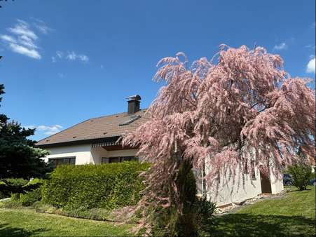 Ansicht - Einfamilienhaus in 74532 Ilshofen mit 153m² kaufen