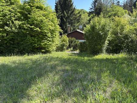 Garten Garten - Einfamilienhaus in 74535 Mainhardt mit 55m² kaufen