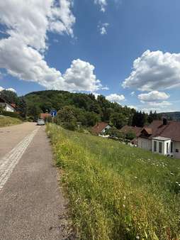 Ansicht Grundstück von Straße Ansicht Grundstück von Straße - Grundstück in 74653 Ingelfingen mit 788m² kaufen