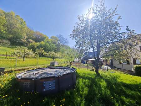 Garten - Einfamilienhaus in 74670 Forchtenberg mit 130m² kaufen