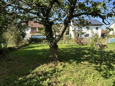 Nördlich ausgerichteter Garten Nördlich ausgerichteter Garten - Doppelhaushälfte in 72116 Mössingen mit 96m² kaufen