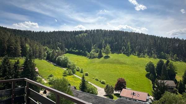 Balkonaussicht - Etagenwohnung in 72270 Baiersbronn mit 80m² kaufen