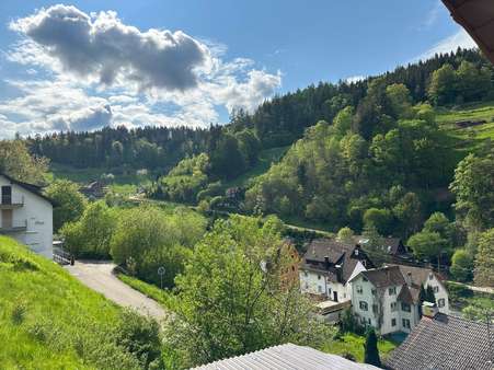 Aussicht - Einfamilienhaus in 72270 Baiersbronn mit 140m² kaufen