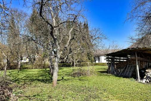 Garten mit Obstbaumbestand - Einfamilienhaus in 78573 Wurmlingen mit 142m² kaufen