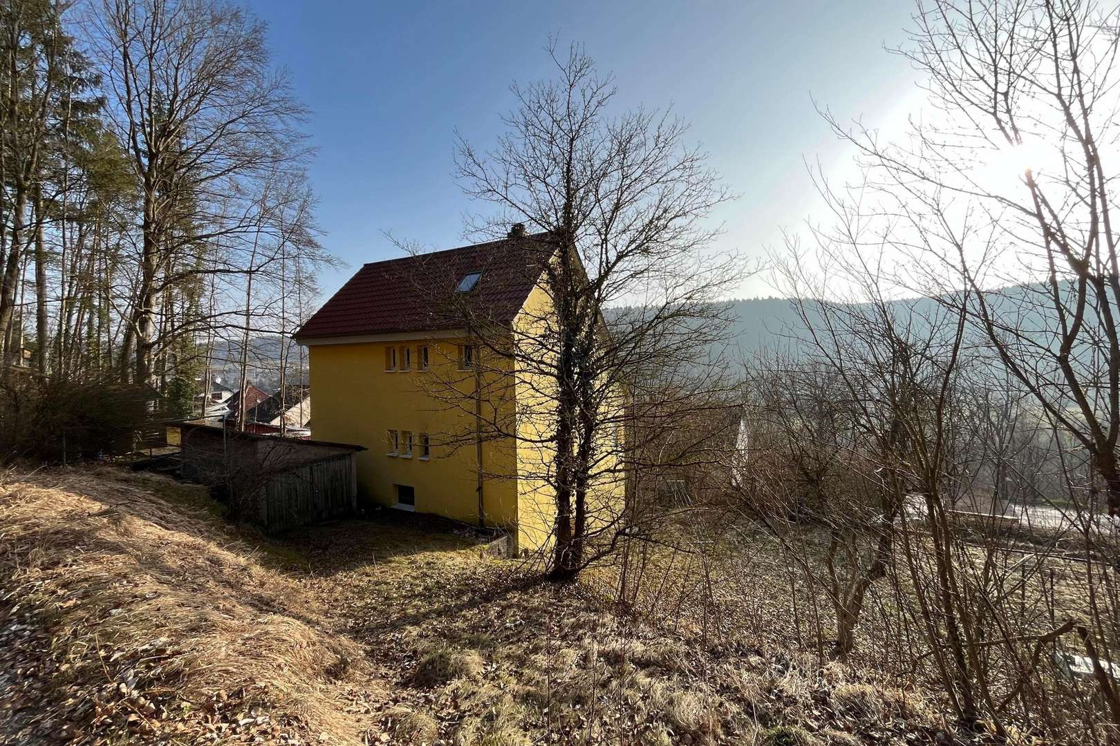 Rückansicht - Zweifamilienhaus in 78532 Tuttlingen mit 125m² kaufen