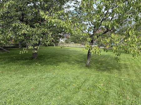 Garten Garten - Einfamilienhaus in 72336 Balingen mit 165m² kaufen