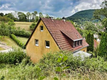 Außenansicht Außenansicht - Einfamilienhaus in 72336 Balingen mit 108m² kaufen