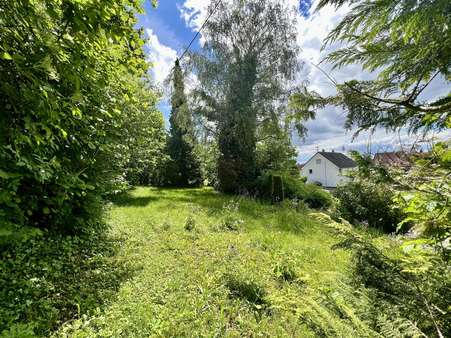 Gründe Idylle ums Haus - Einfamilienhaus in 88471 Laupheim mit 250m² kaufen