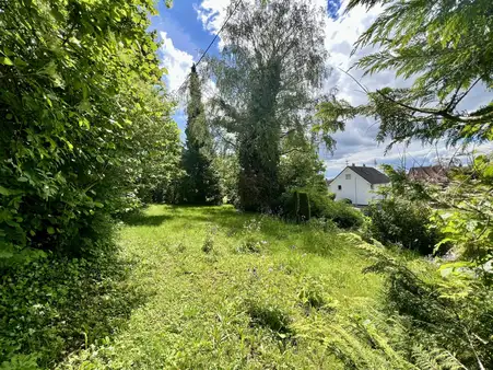 Modernisiertes Einfamilienhaus mit ELW auf großem Grundstück in idyllischer Ortsrandlage